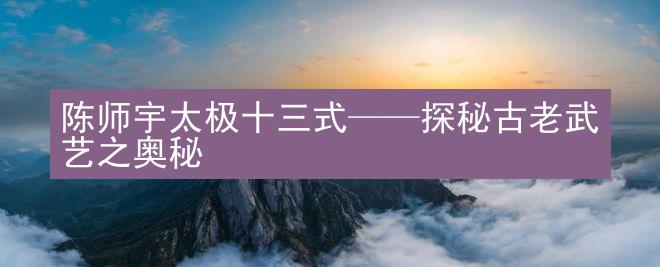 陈师宇太极十三式——探秘古老武艺之奥秘